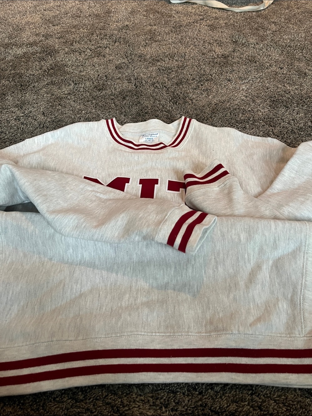Champion Crewneck Sweatshirt in Light Gray with Red MIT Lettering. Large. - Picture 11 of 12